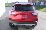Used 2020 Ford Escape Titanium image 5
