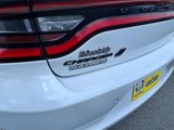 Used 2020 Dodge Charger SXT w/ Blacktop Package image 5