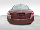 Used 2009 Honda Accord EX-L image 6