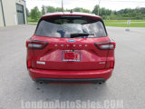 Used 2025 Ford Escape ST-Line Elite w/ Premium Technology Package image 4