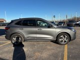 New 2024 Ford Escape ST-Line w/ Tech Pack #1 image 4