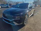 Used 2023 Hyundai Santa Fe Calligraphy image 4