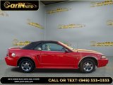 Used 2000 Ford Mustang Convertible image 4