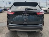 Certified 2022 Ford Edge SEL image 6