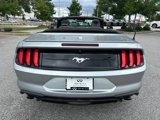 Used 2022 Ford Mustang Premium image 4