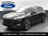 Used 2021 Ford Escape SE w/ SE Sport Appearance Package image 2