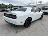 Used 2019 Dodge Challenger SXT image 4