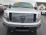 Used 2012 Ford F150 XLT w/ XLT Chrome Pkg image 2