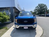 Certified 2021 Ford F150 XL w/ Equipment Group 101A High image 3
