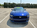 Used 2016 Ford Mustang Coupe w/ Ecoboost Performance Package image 4