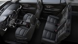 New 2022 GMC Terrain SLT w/ Elevation Edition image 6