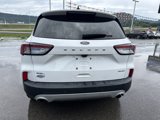 Used 2022 Ford Escape SEL w/ Technology Package image 5