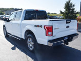Used 2015 Ford F150 XLT w/ Equipment Group 302A Luxury image 3