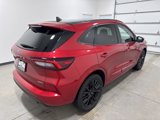 Used 2023 Ford Escape ST-Line Elite image 4