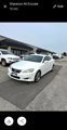 Used 2010 Lexus IS 250C w/ Luxury Pkg image 3