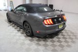 Used 2019 Ford Mustang Premium image 5