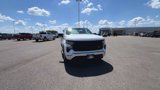 Certified 2024 Chevrolet Silverado 1500 W/T w/ WT Fleet Convenience Package image 3