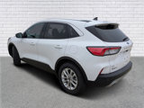 Used 2021 Ford Escape SE image 3