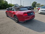 Used 2019 Ford Mustang Premium w/ Equipment Group 201A image 5