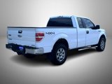 Used 2012 Ford F150 XLT w/ XLT Chrome Pkg image 5