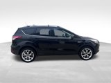 Used 2013 Ford Escape Titanium image 4