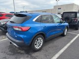 Used 2020 Ford Escape SE image 5