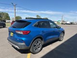 Used 2020 Ford Escape SEL image 5