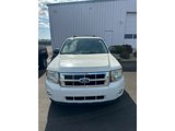 Used 2011 Ford Escape XLT w/ 202A Rapid Spec Order Code image 3