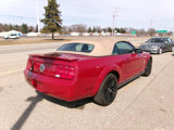 Used 2008 Ford Mustang Premium image 4