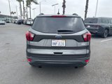 Used 2019 Ford Escape SEL image 4