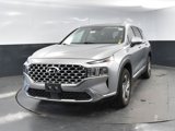 Used 2023 Hyundai Santa Fe SEL w/ Premium Package image 3