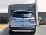 Used 2022 Ford Escape Titanium image 6