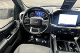 Certified 2022 Ford F150 XLT w/ Equipment Group 302A High image 5