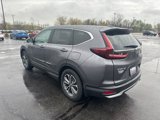 Certified 2022 Honda CR-V EX-L image 5