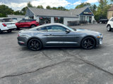 Used 2023 Ford Mustang GT Premium w/ Equipment Group 401A image 4