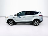 Used 2014 Ford Escape SE image 4