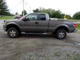 Used 2010 Ford F150 XLT image 3