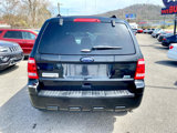 Used 2012 Ford Escape XLT image 5