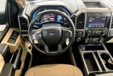 Used 2019 Ford F150 XLT w/ Equipment Group 302A Luxury image 5