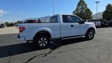 Used 2013 Ford F150 STX w/ Mid Equipment Group image 3