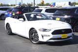 Certified 2020 Ford Mustang Premium image 2