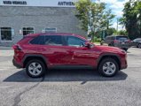 Certified 2024 Toyota RAV4 XLE image 3