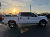 Used 2014 Ford F150 XLT image 4