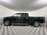Used 2014 Ford F150 XLT w/ XLT Chrome Package image 4