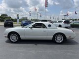 Used 2005 Ford Thunderbird 50th Anniversary image 4