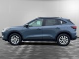 New 2025 Ford Escape Active w/ Cold Weather Package image 2