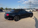 Used 2020 Ford Mustang Premium image 5