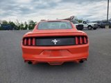 Used 2015 Ford Mustang Coupe w/ Equipment Group 051A image 5