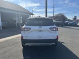 Used 2020 Ford Escape SEL image 6