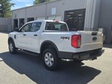 New 2025 Ford Ranger XL image 6
